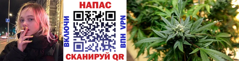 Купить наркотики Сураж Cocaine  Галлюциногенные грибы  ГАШИШ  МЕФ 